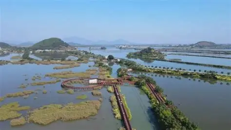 大湖湿地