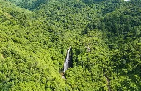 响水龙潭森林公园