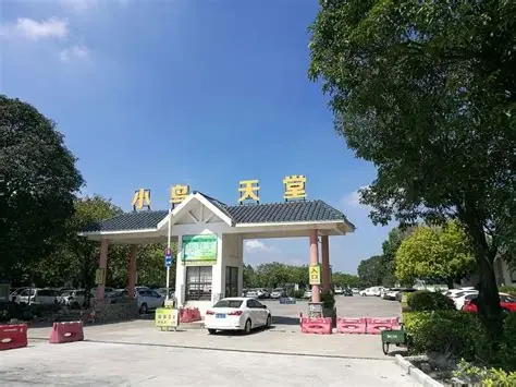 小鸟天堂