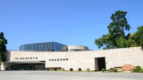 河源市博物馆