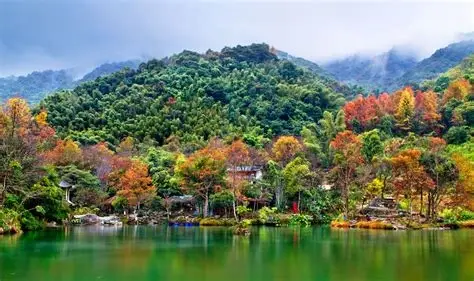 野趣沟