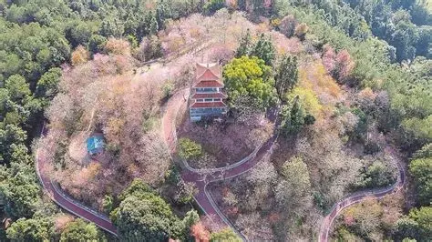 德化唐寨山森林公园