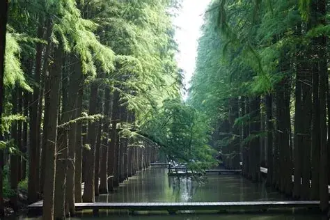 泰州
