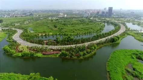 泰兴长江生态湿地与绿色廊道