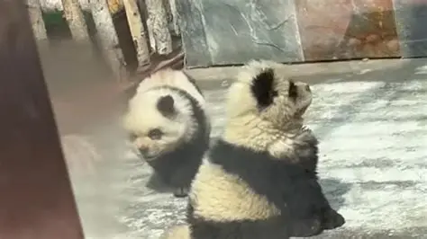 泰州动物园