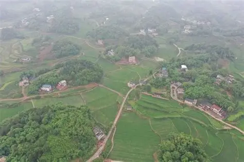禾美田园