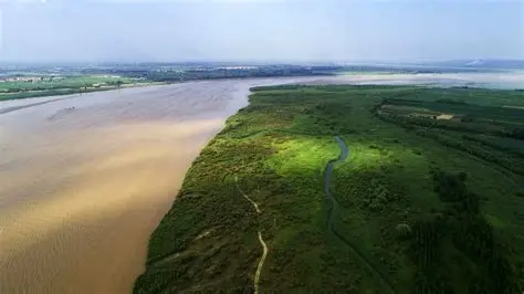 孟津黄河湿地中下游恢复区