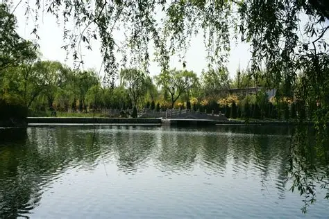 泗水泉林