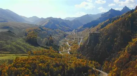 海东