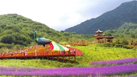 民和七里花海景区