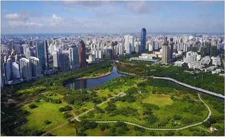 万绿园