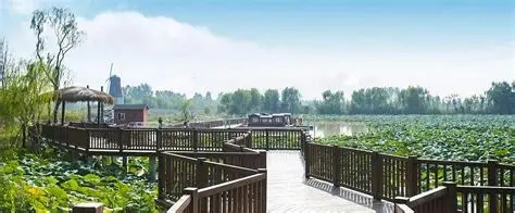 天鹅湖生态园