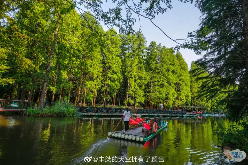 金湖水上森林景区