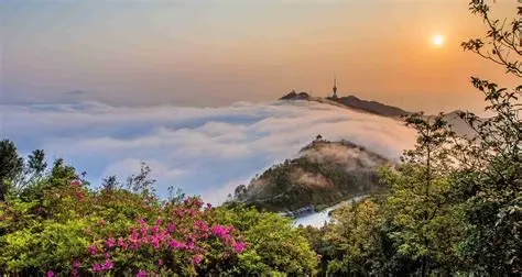 梧桐山
