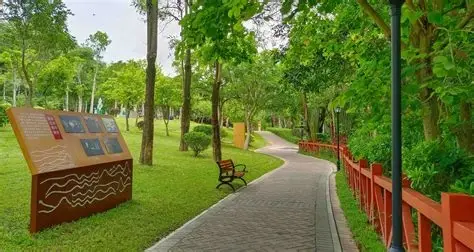 阳台山森林公园