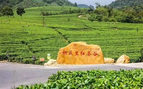 积庆里红茶谷