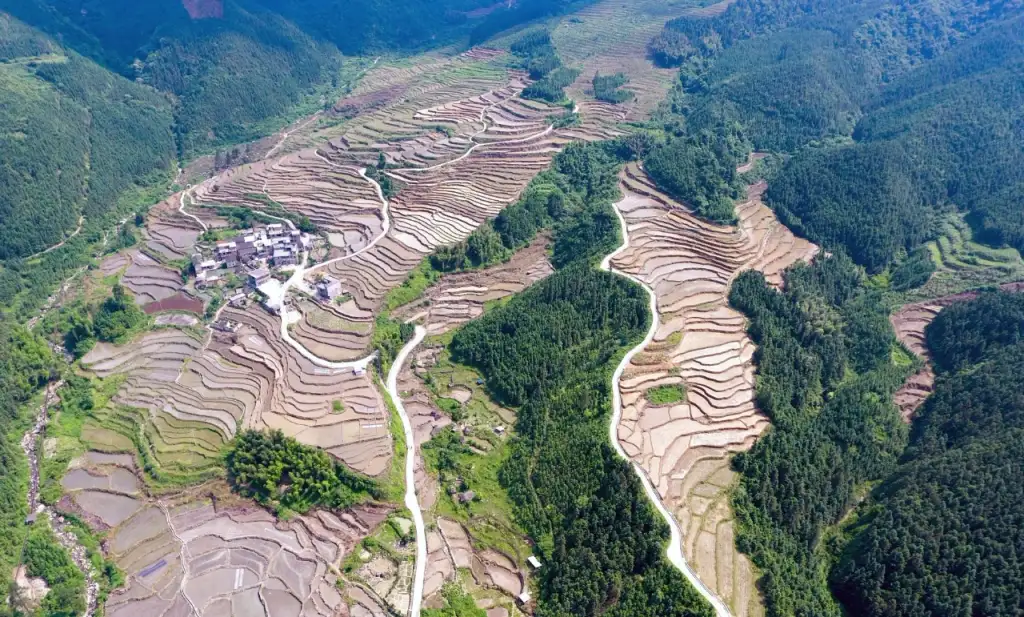 黑山梯田