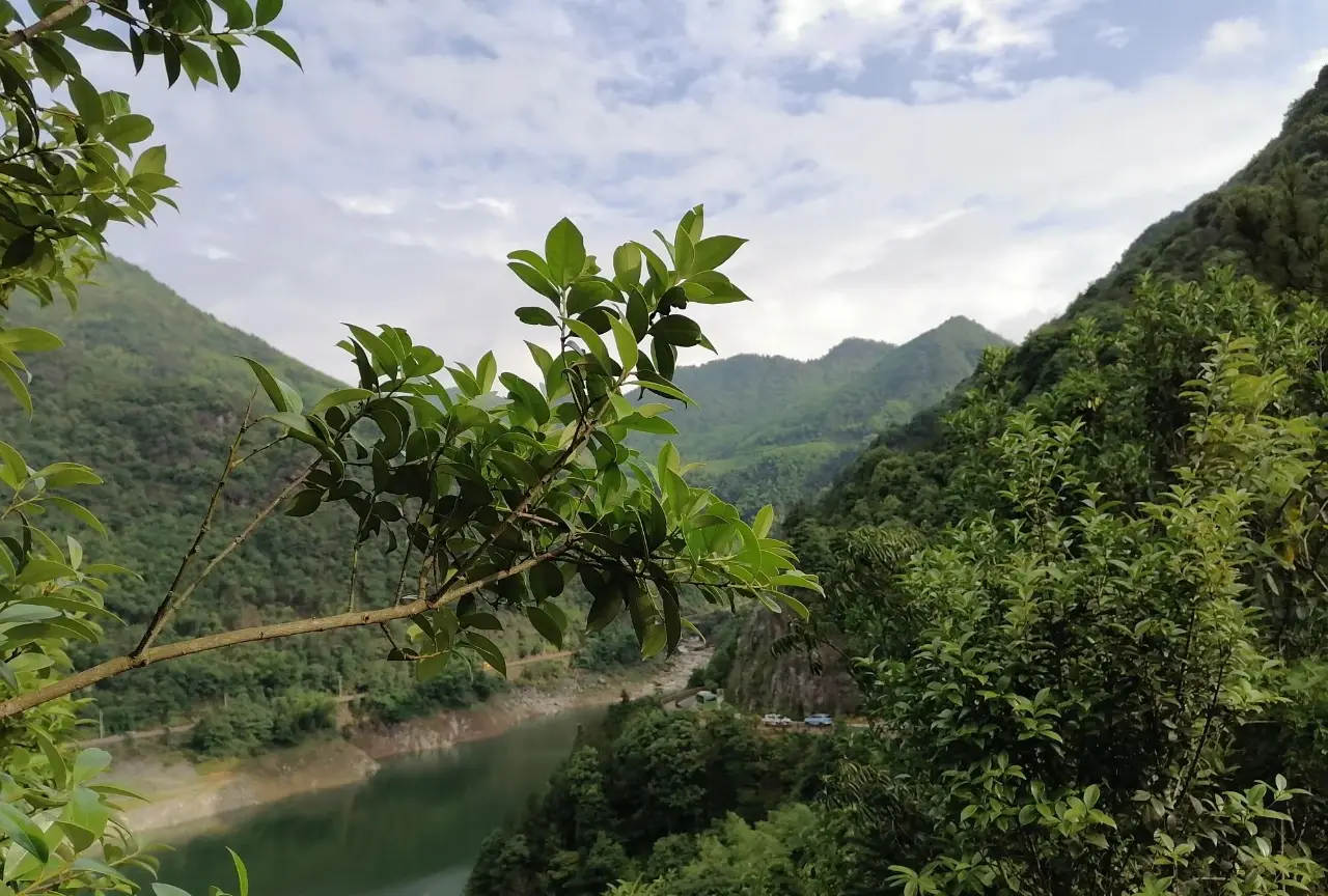 泽雅风景区