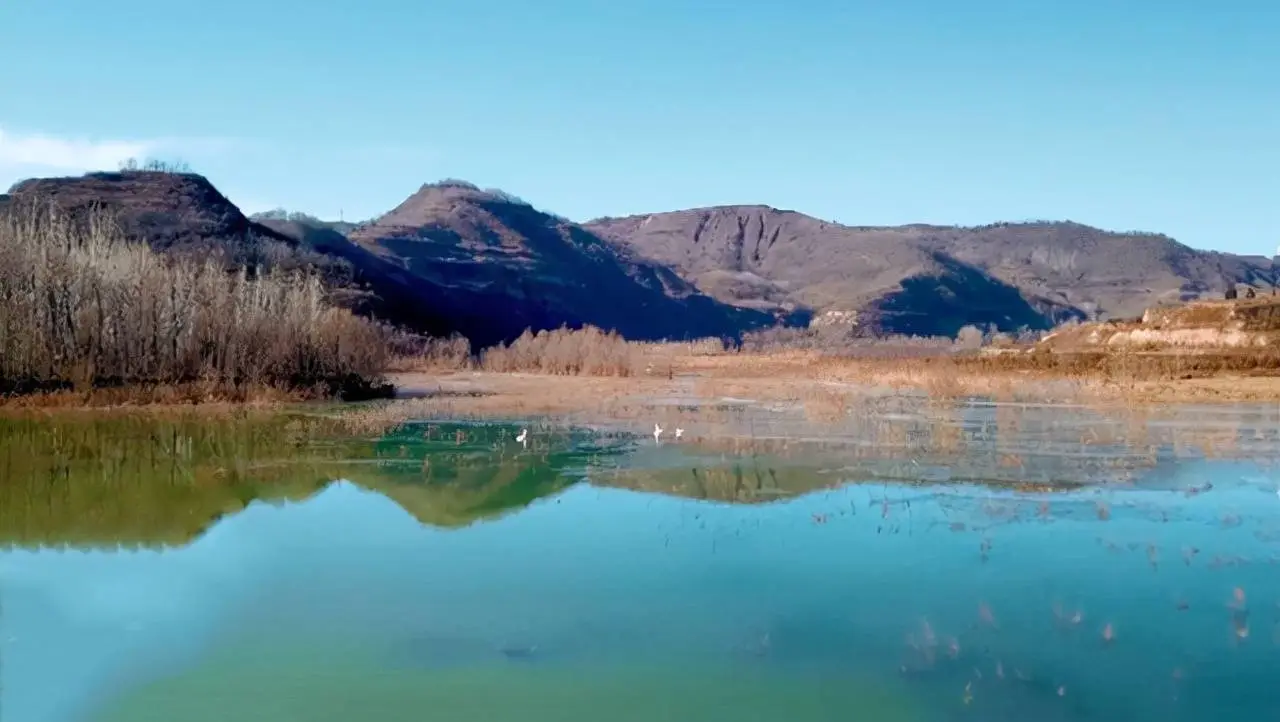 陕西白水林皋湖国家湿地公园