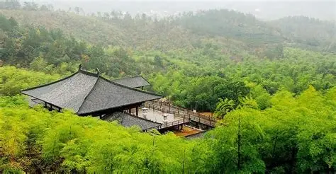 大唐贡茶院