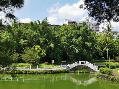 寸金桥公园