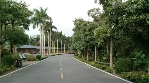 湛江市森林公园