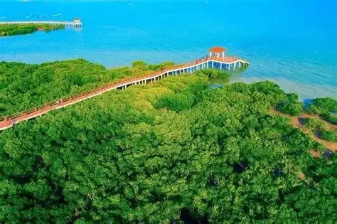 特呈岛