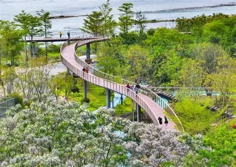 白鹭岛森林公园