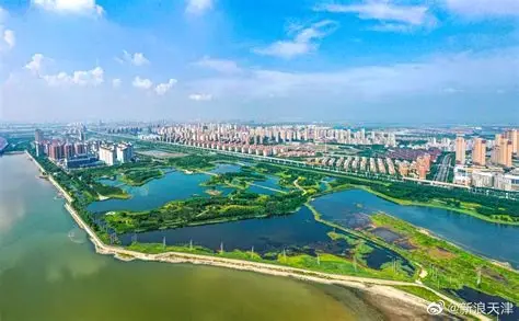 天津滨海新区官港森林公园