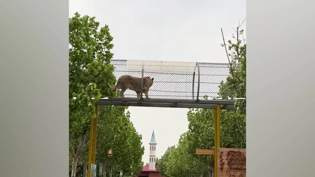 天津野生动物园