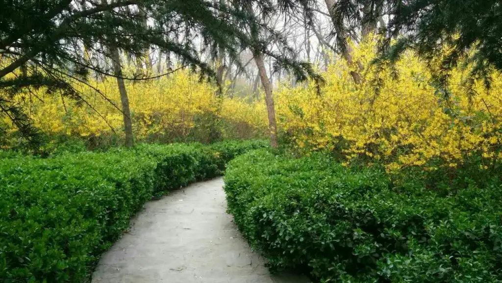 南湖植物园