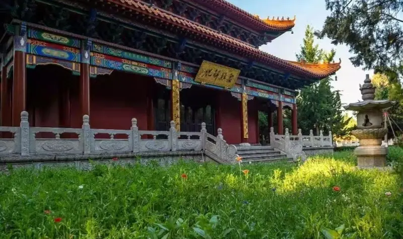 金泉寺