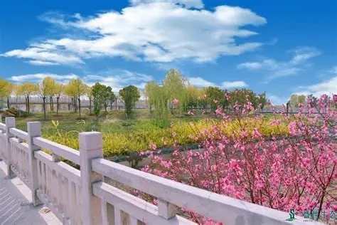 南乐森林公园