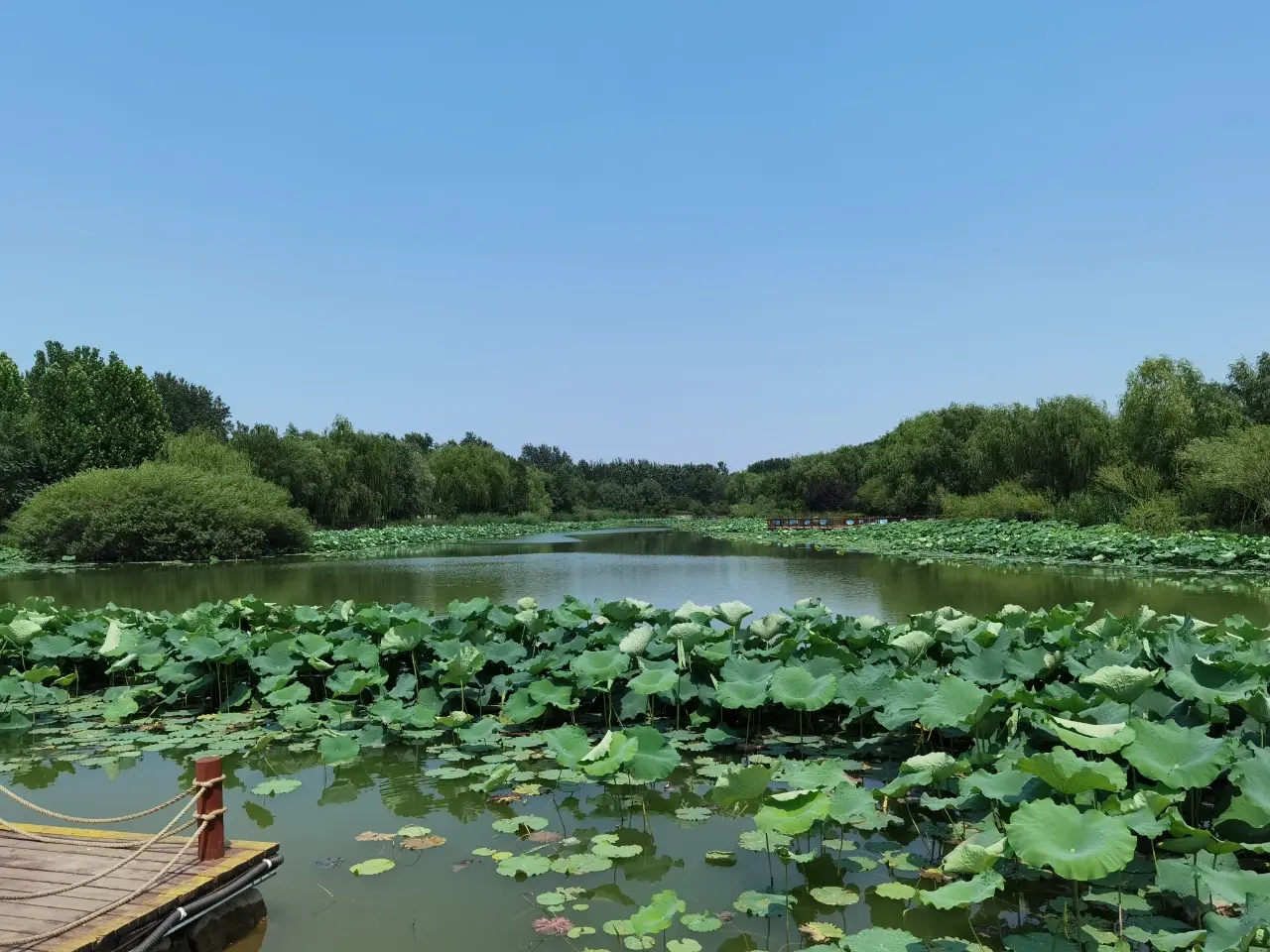 国家湿地公园白沙滩