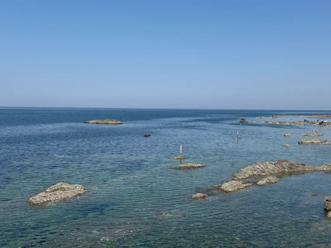 果冻海