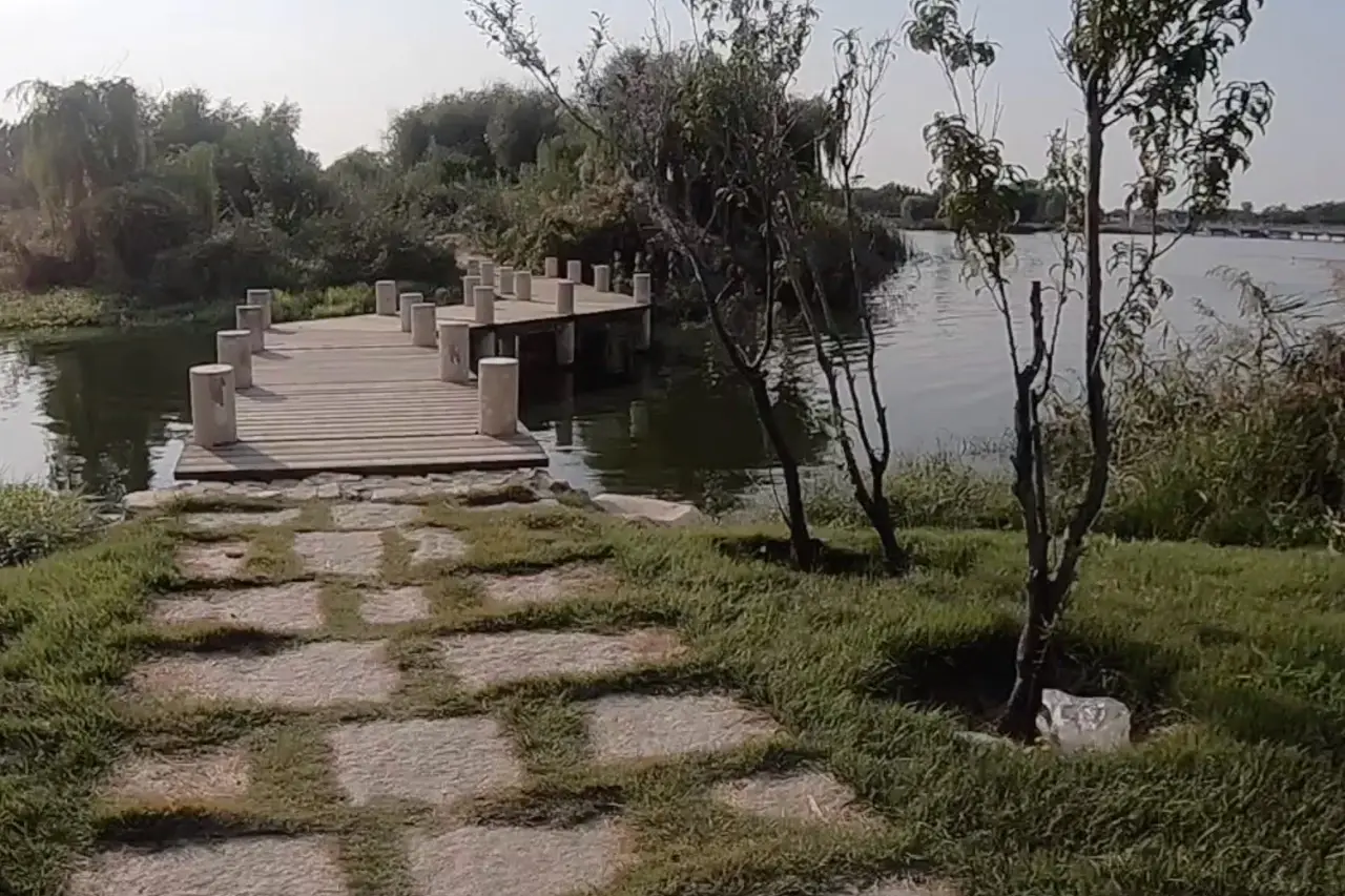 莱州市河套湿地公园