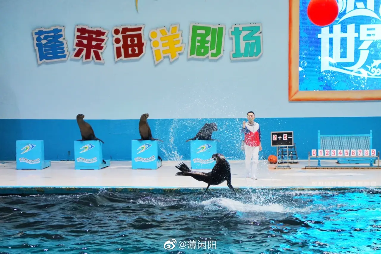 蓬莱海洋极地世界