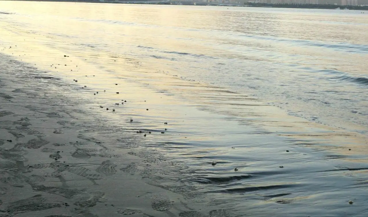 金沙滩海水浴场
