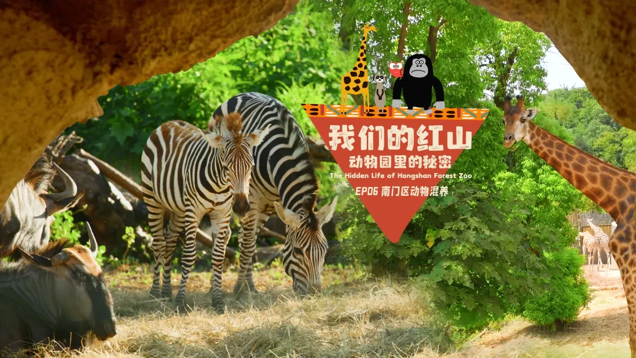 焦作森林动物园