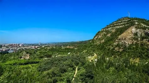 缝山针公园
