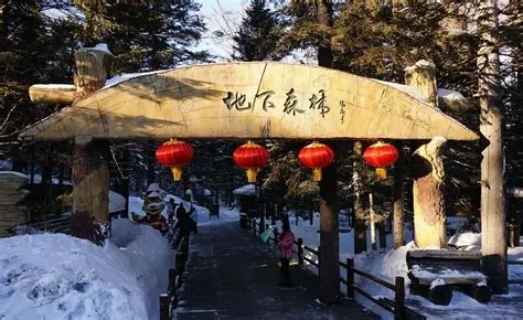 火山口地下森林