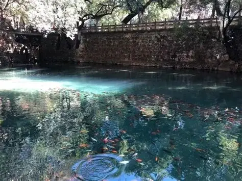 九龙池