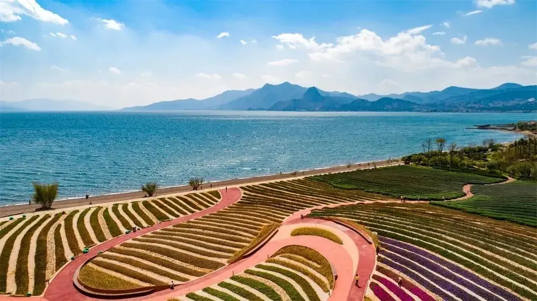 广龙抚海湾湿地公园