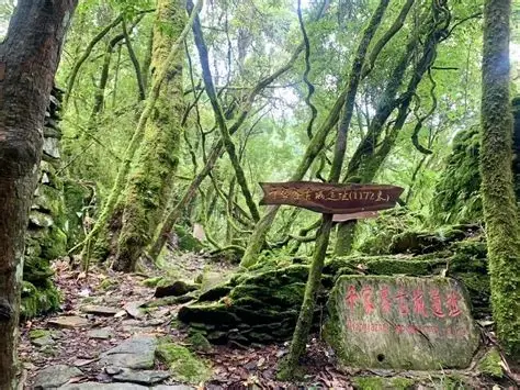 茶马古道