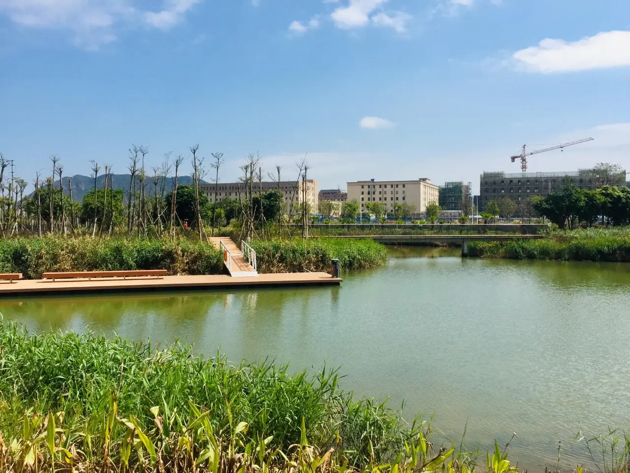 大门口湿地公园