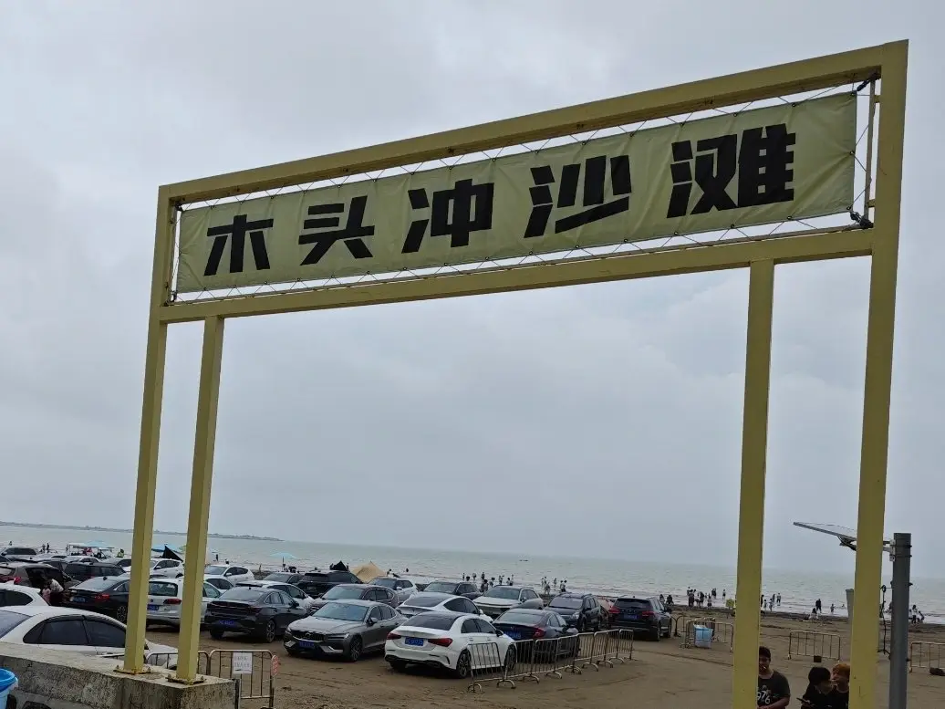 木头冲沙滩