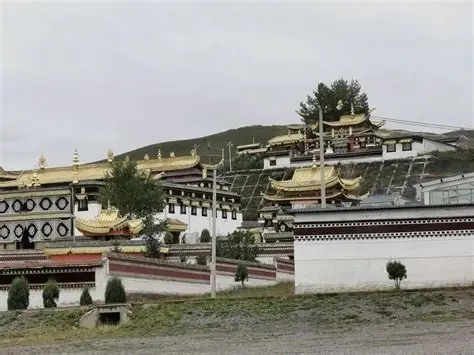 合作寺
