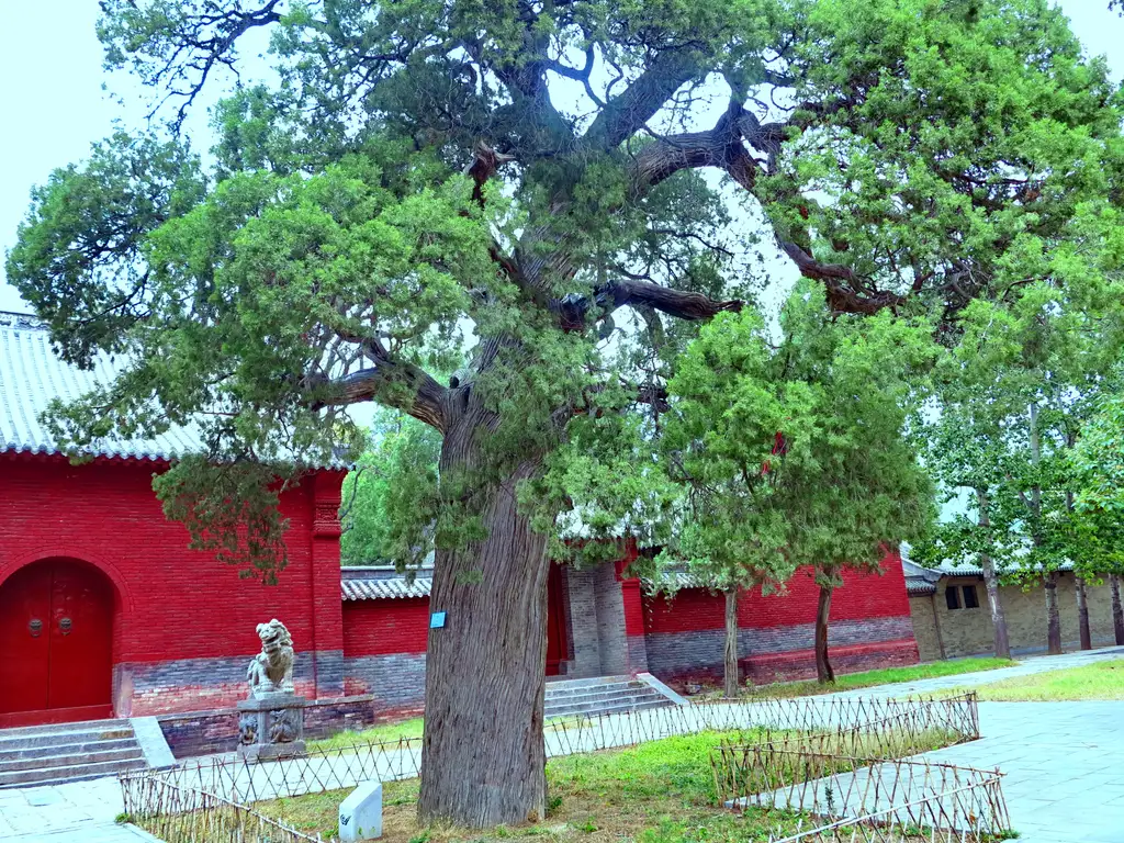 会善寺