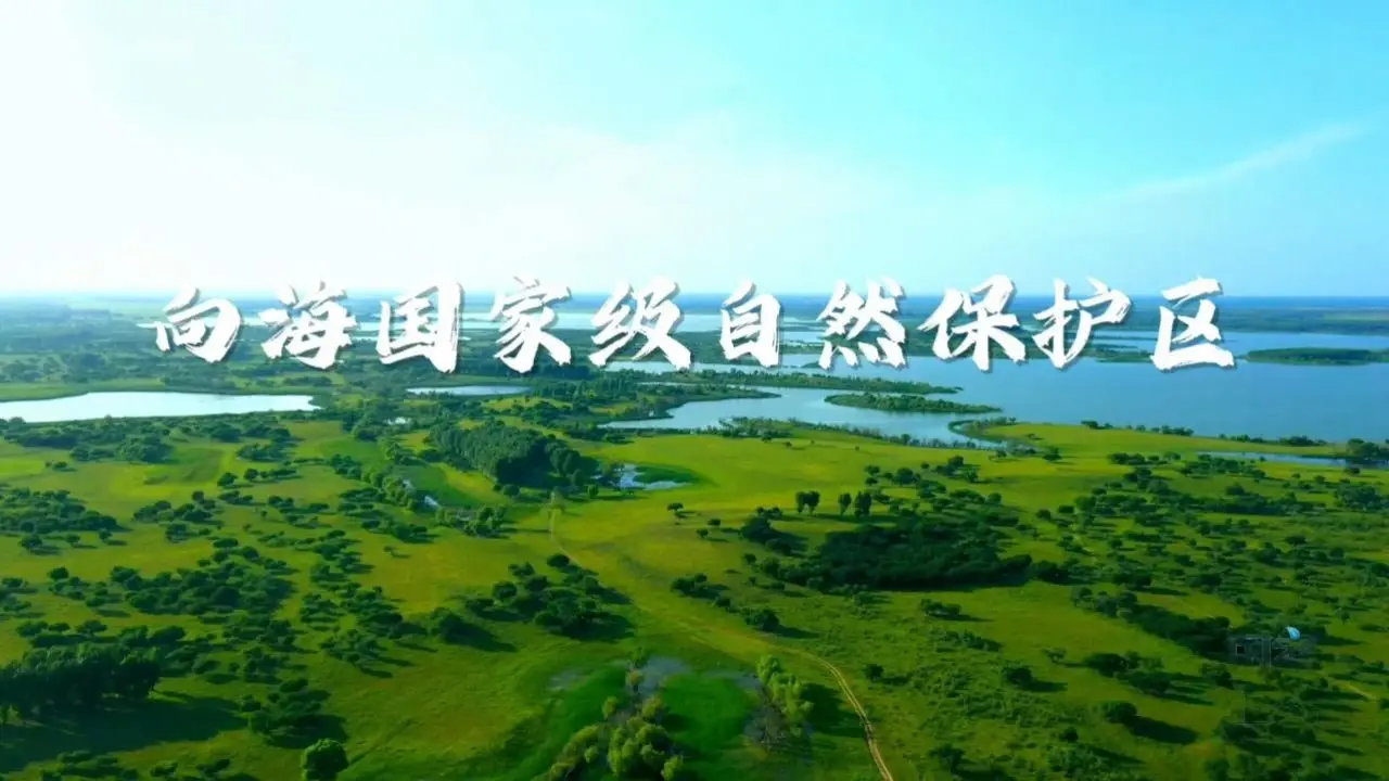 白城