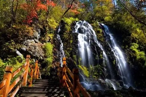 望天鹅风景区